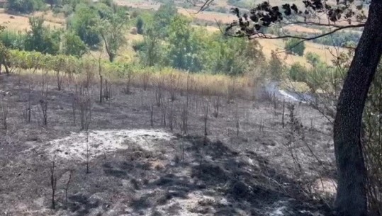 Zjarr në fshatin Kurqele të Klosit, flakët rrezikuan banesat