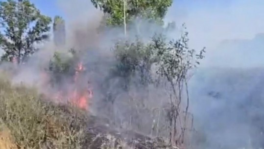 Zjarr i qëllimshëm në fshatin Konisbaltë të Dimalit, digjen hektarë me pisha e shkurre, edhe ushtria në aksion