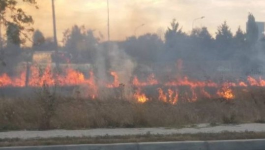 Durrës/ Tentoi të digjte mbetjet bujqësore në tokën e tij, vdes i asfiksuar nga zjarri 75-vjeçari (Emri)