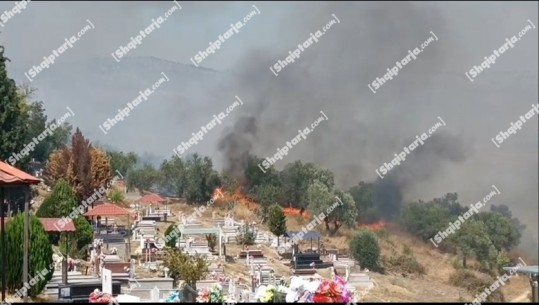 Lushnjë/ Zjarr në kodrat e ullishteve në fshatin Karbunarë! Era favorizon përhapjen e flakëve, mbërrin ndihma nga ajri