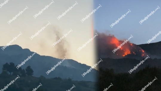 Situata e zjarreve ende kritike, 29 vatra të rëna gjatë 24 orëve të fundit! 15 ende aktive, problematike ato në Tomor, Prespë dhe bjeshkët e Dibrës