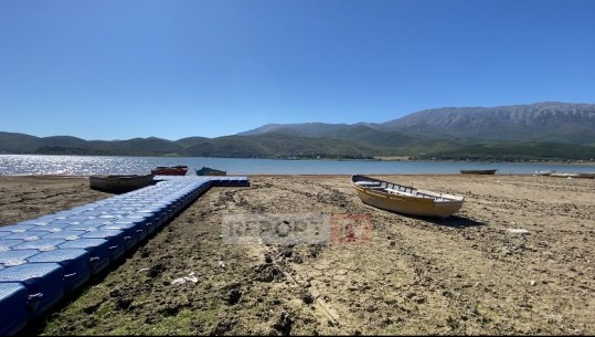 Korçë, 620 mijë rasat të rinj të krapit hidhen në liqenin e Prespës! Bie numri i peshkatarëve