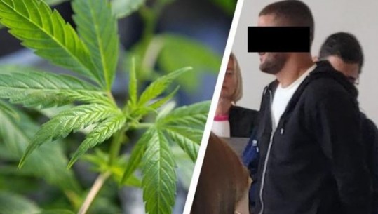 Belgjikë/ U kapën me plantacionin kanabisi me vlerë 800 mijë euro, 5 shqiptarët rrezikojnë deri në 25 vite burg në total! Dëshmia: Mendova se këtu lejohej!