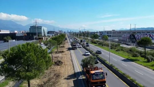 Veliaj: Të gjitha pemët e zhvendosura nga autostrada Tiranë-Durrës do të mbillen në Parkun e Liqenit dhe pika të tjera (VIDEO)