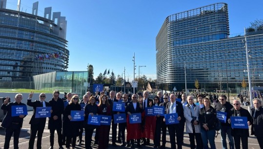 ‘Free Berisha’, PD protestë në Parlamentin Europian, 'harron' Metën: Opozita e burgosur, qeveri teknike! Dogjani për Report Tv: BE t’i kërkojë llogari Ramës