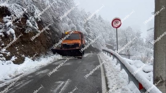 VIDEOLAJM/ Korça nën petkun e  bardhë të dëborës! Në Dardhë trashësia arrin deri në 10 cm