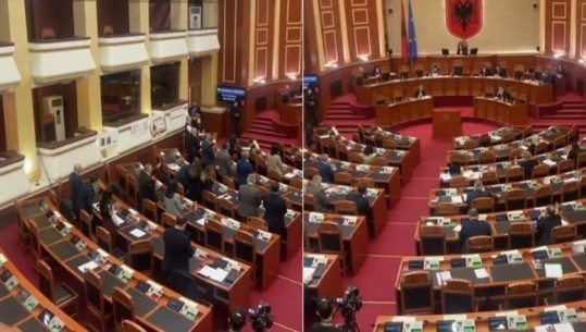 Të ndarë dhe në homazh/ Demokratët mbajnë 1 minutë heshtje për 14-vjeçarin e vrarë pa PS