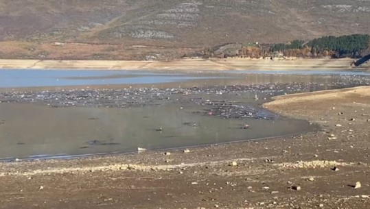 Shirat mbushin liqenin e Fierzës me plehra! Peshkatarët: Pasojë e sjelljes së njerëzve në Kosovë e Shqipëri