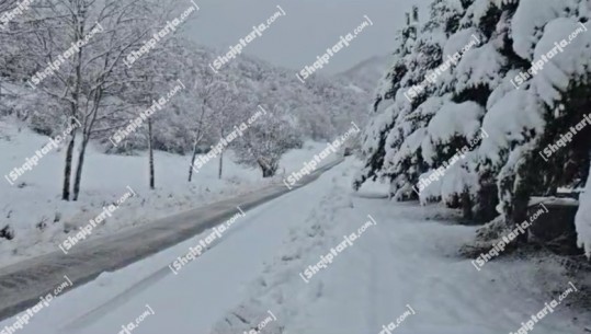 Moti i keq/ Korça dhe veriu i vendit nën ‘pushtetin’ e borës, trashësi deri në 60 cm! Mijëra banorë pa drita, s'ka proleme me qarkullimin (VIDEO)