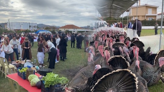 Peqin, gjelat e detit me 1200 lek/kg, fermerët: I shesim nën kosto, na dëmton importi