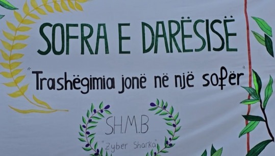 Njihuni me Darësinë, zonën me numrin më të madh të serave dhe qindra rrënjë ullinj! Sefa: Po zhvillohet agroturizmi  