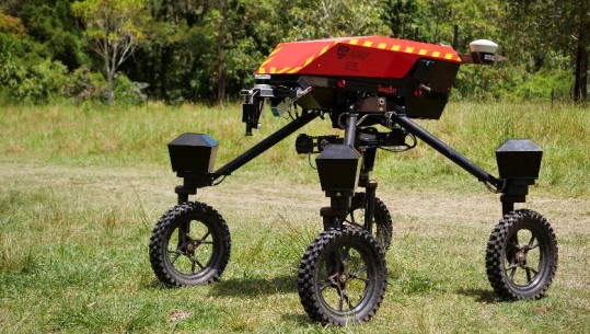 Do të përdoret për punët në bagëti, krijohet roboti me AI në Australi