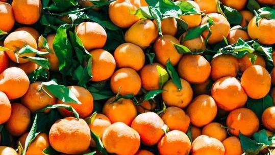 Skandali/ Prokuroria: Në treg u hodhën mbi 21 ton mandarina me pesticide të cilat u kthyen nga Kroacia, zbardhet dëshmia e fermerit dhe inspektorit