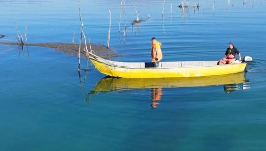 Pastrohet liqeni i Shkodrës, hiqen pinarët e peshkatarëve