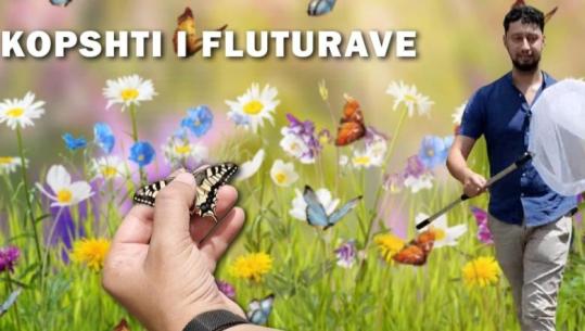 E rrallë! Krijoi kopshtin e fluturave në Mjedë, flet Marko Prendi në 'Një nga ne': Jam i vetmi në Ballkan