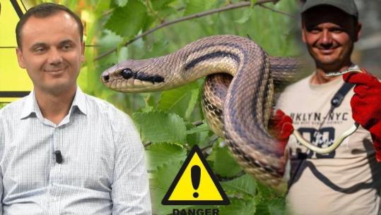  Panik nga Gjarpërinjtë? Ja çfarë duhet të DINI dhe si të mbroheni! | Biologu tregon ‘sekretet’