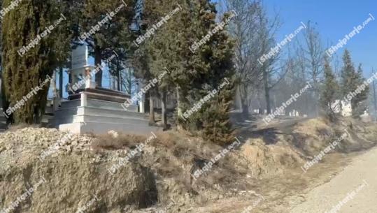 Zjarri i madh në Hoshtimë të Vlorës, digjen varrezat e zonës