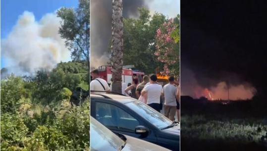 Zjarret shkrumbojnë 56 ha me pyje e ullishte, Vlora më e prekura! Digjet tregu në Durrës, prefekti: S’kishte kushte teknike