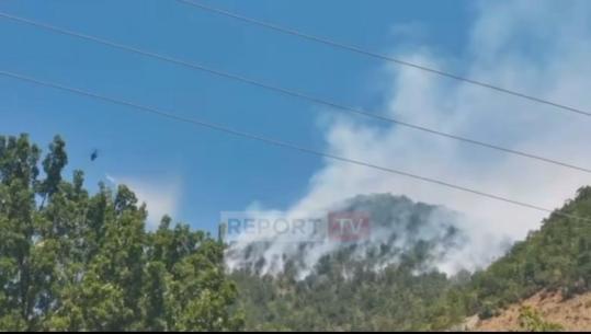 Zjarri në Shkopet, flakët avancojnë drejt Mirditës. Në ndihmë të zjarrfikësve shkon edhe helikopteri i ushtrisë (VIDEO)