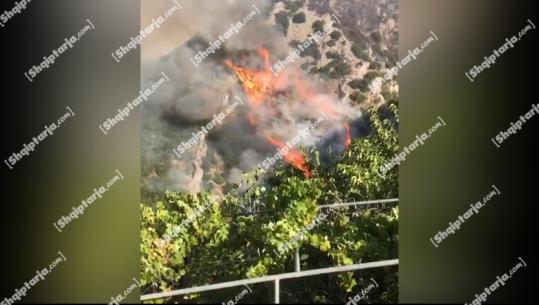 Delvinë/ Flakë të fuqishme në Vergo, digjen Kisha e 'Shën Dhimitrit' monument kulture, disa shtëpi dhe ish-reparti ushtarak! Rrezikohen banesat e tre fshatrave (VIDEO)