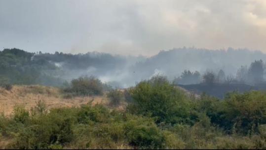 Zjarret masive përfshijnë edhe rrethinat e Prizrenit, digjen pyje, kullota dhe disa kafshë! (VIDEO)