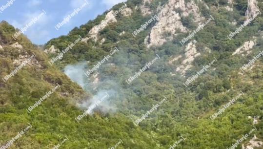 Zjarret në Korçë/ Prefektura: 171 forca në terren! Aktive vatrat në Dishnicë, Strelcë dhe Parkun Kombëtar të Prespës