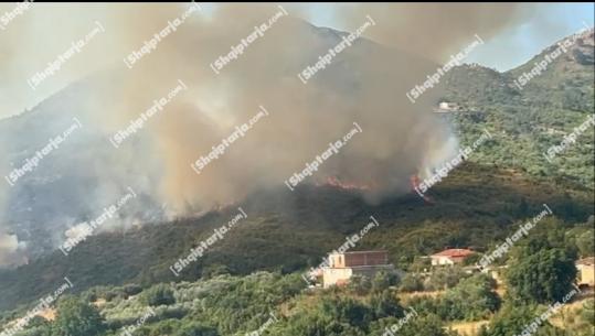 Zjarr i madh në Dukat Fushë, shtëllungat e tymit mbulojnë zonën, rrezikohen disa banesa (VIDEO)