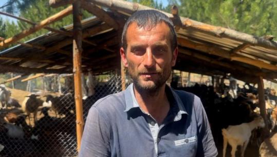 Shkodër/ Të shtëna në bjeshkët e Munellës! 37-vjeçari: Kemi konflikt me një bashkëfshatar, gjeta tabelë me mbishkrimin ‘Ik se do vdesësh’! Policia gjen 6 gëzhoja