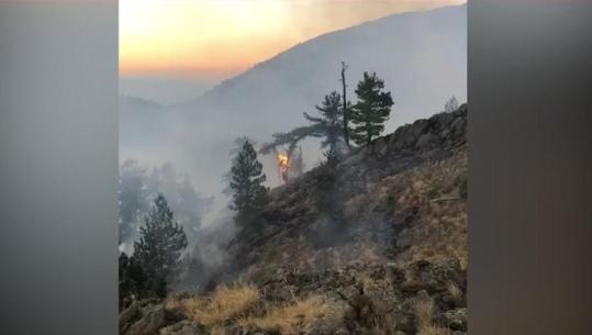 Zjarri në zonën e minuar 'Piramida 12' në kufi me Greqinë, prefektura e Korçës: Terreni i vështirë, flakët nuk kanë hyrë në Parkun Natyror të Gërmenjit