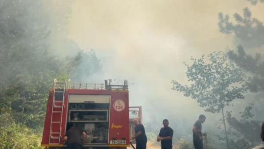 Zjarri në Xath/ E pakalueshme rruga Fushë Arrëz-Bajram Curri, flakët rrezikojnë linjat e tensionit të lartë 