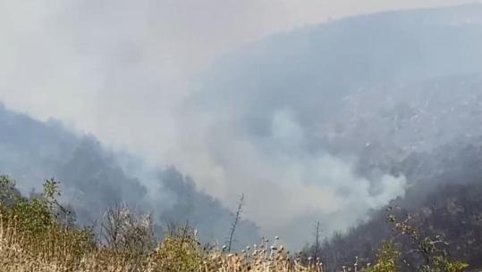 Zjarret, flakët rrezikojnë shtëpitë në fshatin Pecë të Finiqit