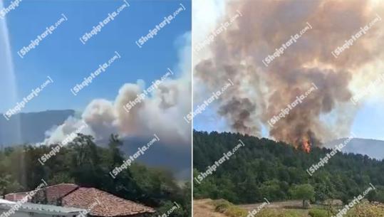 Situatë kritike nga zjarri në Gramsh, ministria urdhëron evakuimin e banorëve në tre fshatrat Kullollas, Bletëz dhe Menkollarë