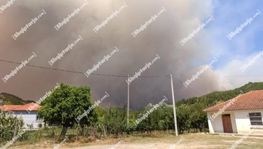 Zjarri në Malin e Koshnicës në Gramsh, burime për Report Tv: Humb jetën një i moshuar