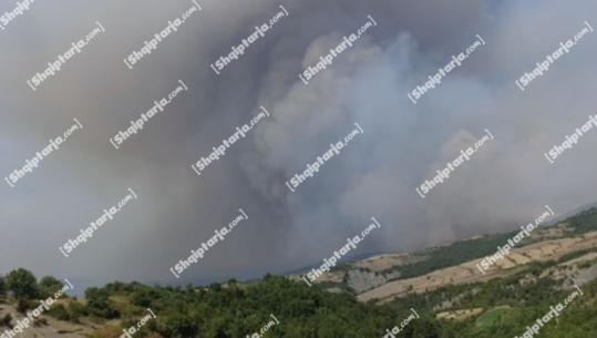 Zjarret në Gramsh, administrator i njësisë Skënderbegas për Report TV: Situata shumë e rëndë, 2 fshatra janë djegur plotësisht