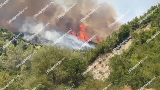 Riaktivizohet vatra e zjarrit te 'Syri i Kaltër' në Sarandë