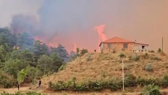 Dëmet nga zjarri, Rama: Kush humbi shtëpinë do t’ia rindërtojmë falas