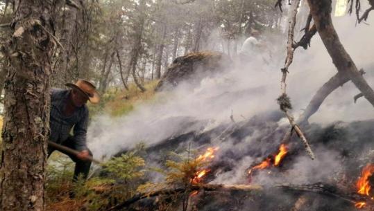 Korçë/ Nën kontroll vatra e zjarrit pranë Parkut Natyror të Gërmenjës, terreni i vështirë për shkak të zonës me municione