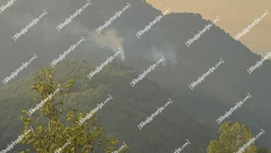 Mirditë/ Zjarr në fshatin 'Katund i Vjetër', flakët djegin masivin pyjor, forcat zjarrfikëse në terren 