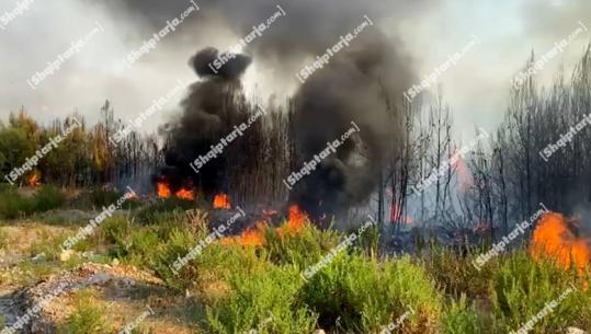 Zjarre në Krujë, riaktivizohen vatrat në Barkanesh e Nikël, rrezikohen pyje e banesa (VIDEO)