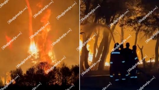 Vijon zjarri në pyllin e Poros në Vlorë, era favorizon përhapjen e flakëve, thirrje që të evakuohen bizneset (VIDEO)