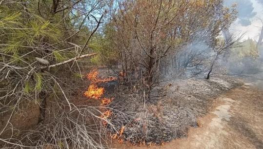  Dy zjarre në vend, Mbrojtja: Nën kontroll zjarri në pyllin e Akërnisë në Vlorë, operohet dhe me një helikopter! Aktive edhe vatra në Bogovë të Skraparit
