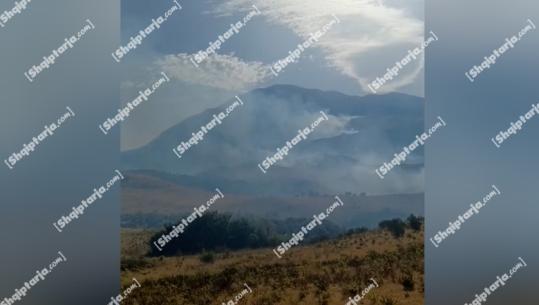 Zjarr në fshatin Vajzë të Selenicës! Zjarrfikëset në 'luftë' me flakët (VIDEO)