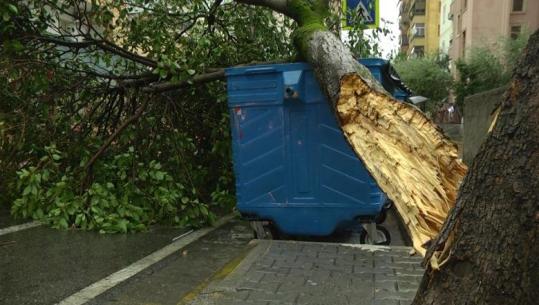 VIDEOLAJM/ Pasojat e stuhisë në Tiranë