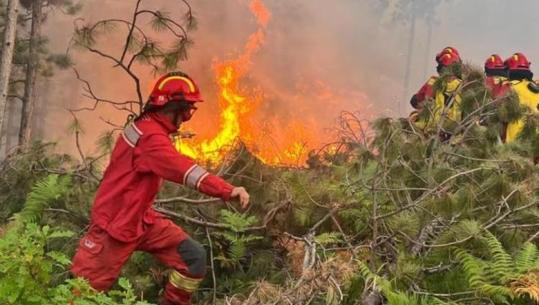 Raporti i KE për zjarret gjatë 2024: Evropa u përball me vitin më të keq në histori! Shqipëria pësoi humbjet më të rënda