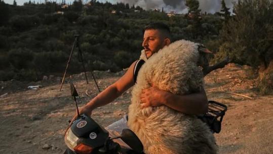 Shpëtoi delen nga zjarret në Greqi, fotoja e shqiptarit në listën e BBC si më e mira për 2025-ën