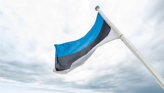 Estonia i dhuron Kievit 10 milionë euro për blerje armësh