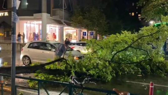 Tiranë/ Era e fortë thyen degën e pemës, bllokohet pjesërisht qarkullimi në Rrugën e Elbasanit (VIDEO)