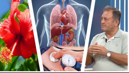  Ylli Merja ZBULON bimën shëruese / Pastron trupin e mëlçinë, rregullon hormonet dhe tensionin