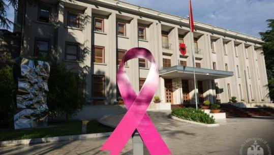 Tetori rozë, Begaj: Parandalimi dhe diagnostikimi i hershëm i kancerit të gjirit mund të shpëtojë jetë