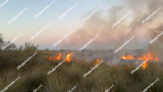 Vlorë/ Zjarr në pyllin e Hidrovorit në Novoselë, flakët përfshinë një sipërfaqe me shkurre e kullota! Shuhet nga zjarrfikëset (VIDEO)